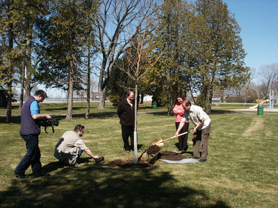 Eagle Tree team planting seedlings in North Bay, ON